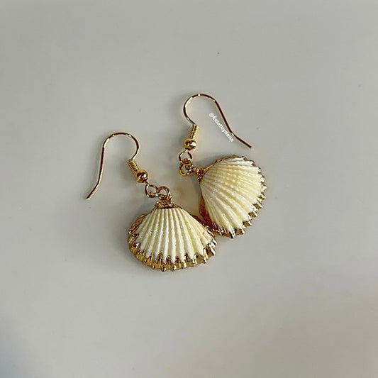 Shell Earrings